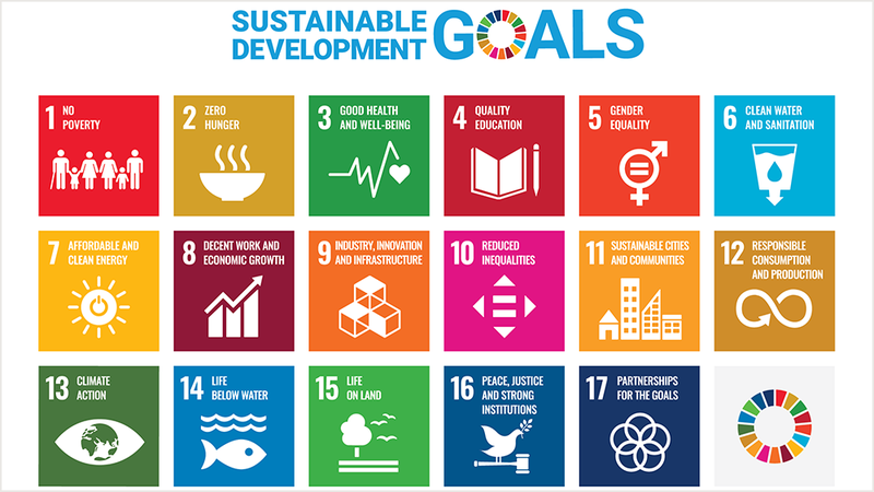 Auflistung der Sustainable Development Goals