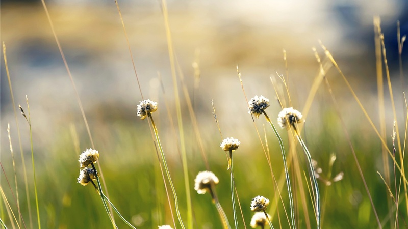 Consectetur Laboris Aliquip