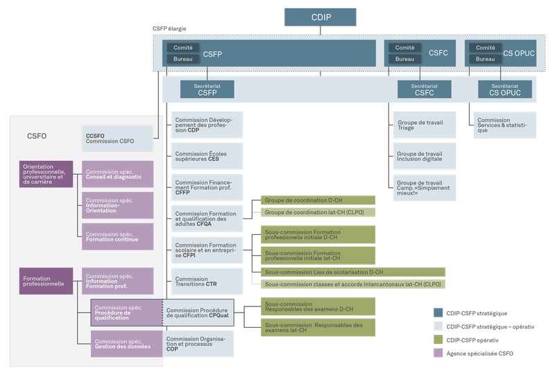 Organigramme CSFP