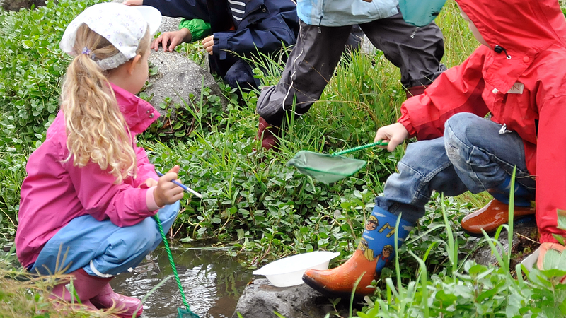 Des enfants étudient la nature au bord d'un petit ruisseau