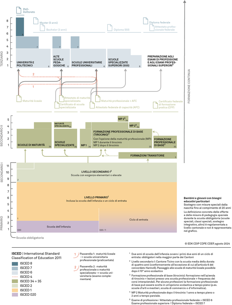 Grafico del sistema educativo
