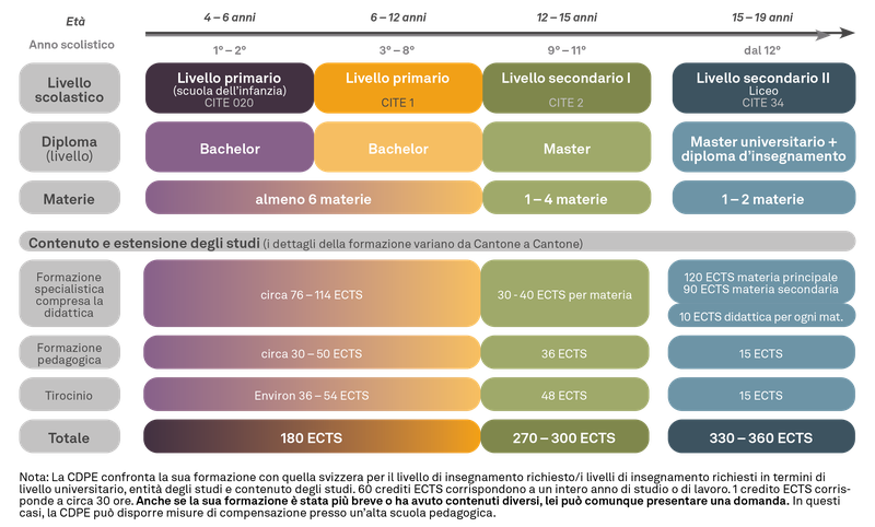 Rappresentazione semplificata della formazione per gli insegnanti e le insegnante in Svizzera